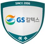팀로고